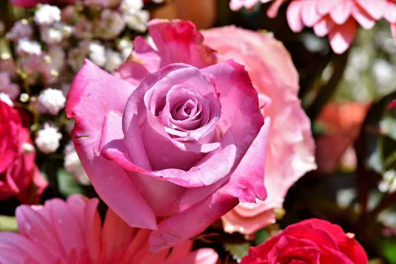Garden of Whimsy