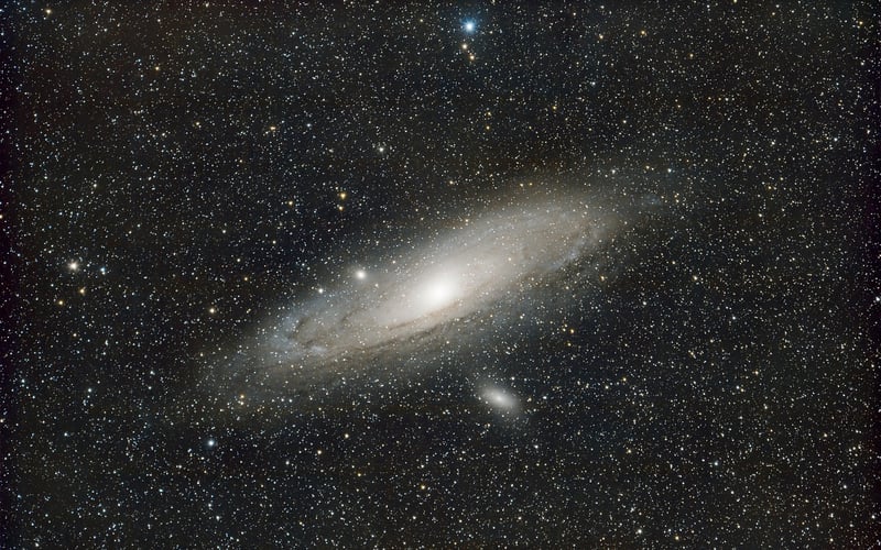 Cosmic Creatures